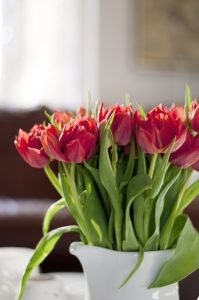bukiet tulipanow